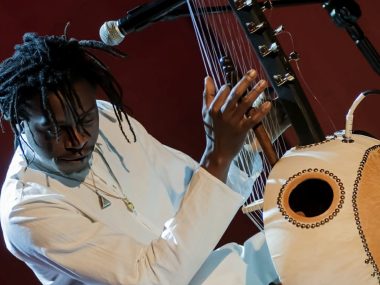 Darmowy koncert w Parku Śląskim. Wystąpi gambijski muzyk Darmowy koncert w Parku Śląskim Gambijski muzyk zagra na korze
