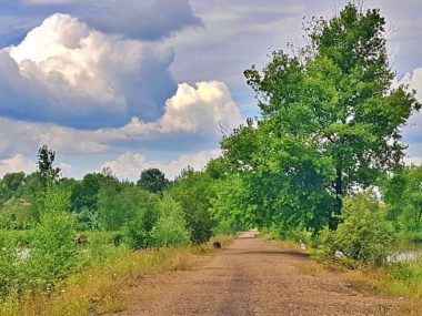 Decyzja wojewody ws. Żabich Dołów to „błąd urzędniczy”? Decyzja wojewody ws Żabich Dołów to błąd urzędniczy