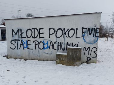 Liczne dewastacje na Osiedlu na Lipce Dewastacja