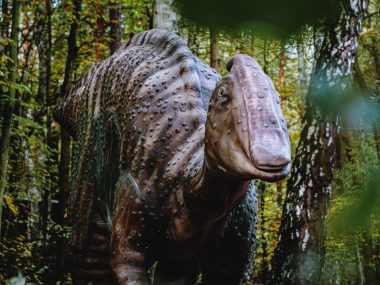 Dinozaury w Sosnowcu! Na razie dwa, ale będzie ich więcej Dinozaury w Parku Kuronia w Sosnowcu