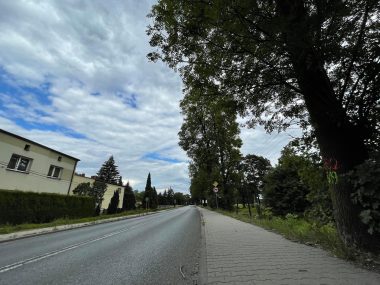 =Od Imielina do Bierunia zostaną wycięte 694 drzewa Drzewa Bieruń