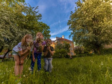 Dzień Dziecka 2022 w Tychach Dzień Dziecka Tychy