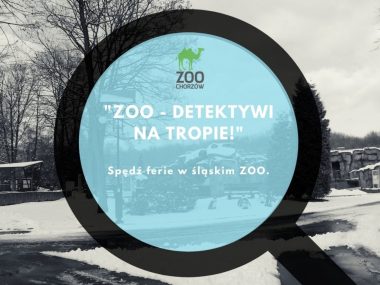 Ferie w śląskim zoo, czyli „ZOO-detektywi na tropie!” Ferie w śląskim zoo