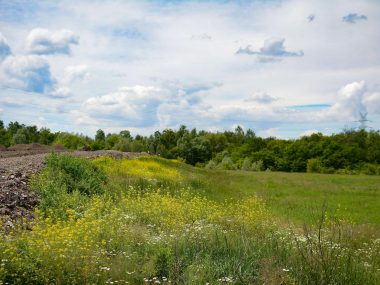 Elektrownia słoneczna na składowisku odpadów w Katowicach Fragment zrekultywowanej hałdy
