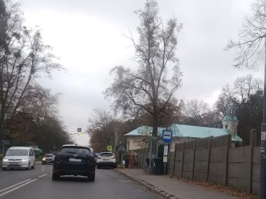 Tarnowskie Góry. Podsumowanie akcji "Wszystkich Świętych" Tarnowskie góry cmentarz policja 2022