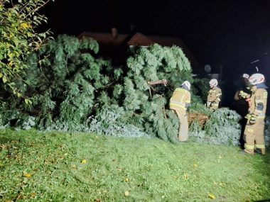 Burze w woj. śląskim. Problemy na kolei i z dostawami prądu Interwencja straży pożarnej