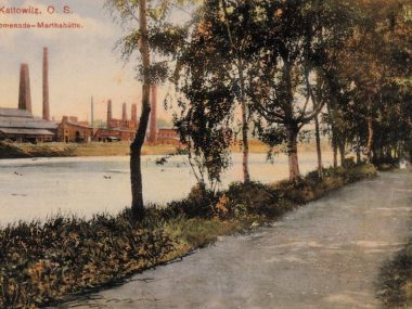 Spacer wśród drzew nadrzecznym bulwarem. 150 lat temu Katowice drzewa promenada 2