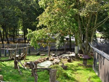 W śląskim zoo powstał nowy kompleks dla rosomaków i rysi Kolejna inwestycja w śląskim zoo. Otwarto nowy kompleks dla rosomaków tudnrowych i rysi euroazjatyckich