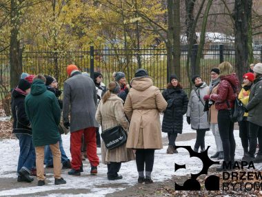 Społecznicy stworzą Mapę Drzew Bytomia Mapa Drzew Bytomia