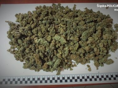 Amfetamina i marihuana nad zalewem dziećkowickim Marihuana Bieruń