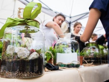 Mikrogranty dla lokalnych inicjatyw w województwie śląskim Mikrogranty Fundacji Better Place