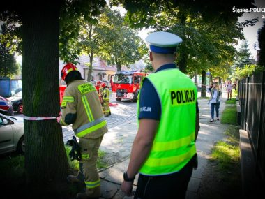 Wypadek na Piłsudskiego: 8-latka została potrącona na pasach Na ulicy Piłsudskiego doszło do poważnego wypadku