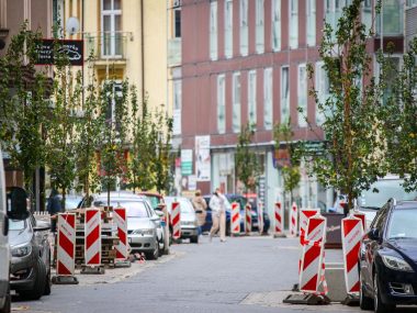 1000 nowych drzew w Sosnowcu. Za 1,4 mln złotych W Sosnowcu pojawi się 1000 nowych drzew