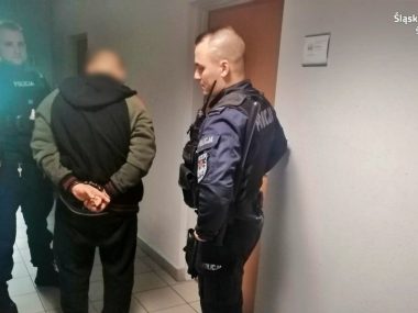 Ogródkowy złodziej ze Świętochłowic w rękach policji Ogródkowy złodziej ze Świętochłowic