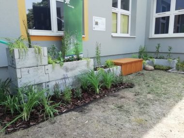 Załóż swój własny ogród deszczowy Efekt końcowy
