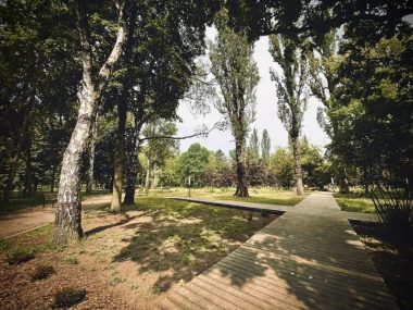 Setki drzewa, tysiące roślin. Sosnowiec ma ogród botaniczny Park bioróżnorodności stał sie ogrodem botanicznym