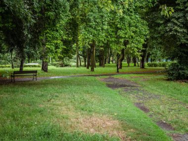 Sosnowiec. Park przy bulwarach Czarnej Przemszy zmieni się Park przy Bulwarach Czarnej Przemszy