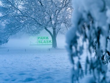 Walentynkowa Gra Terenowa w Parku Śląskim Park Śląski zima