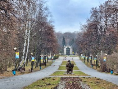 Park Śląski przygotował ankietę. Chcą zaplanować jego rozwój Park Śląski