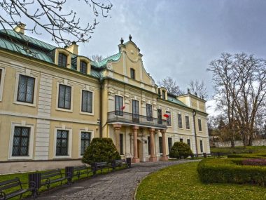Normański miecz w Będzinie. Czy to broń wikinga? Pałac Mieroszewskich