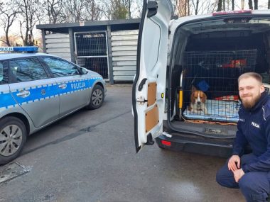 Policjanci z Sosnowca uratowali zmarzniętego psa Policjant z Sosnowca uratował psa