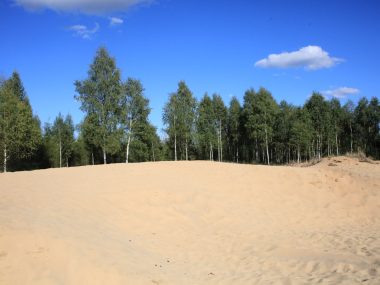 Błędowska jest tylko jedna, ale pustyń u nas mamy więcej Pustynia Łączańska