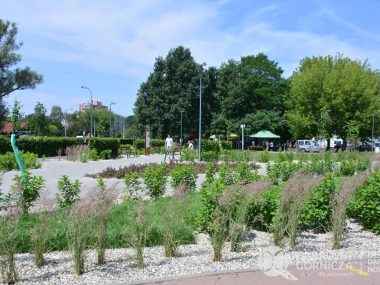 Budżet obywatelski w Dąbrowie Górniczej: czas na odwołania Renowacja plantów im. harcmistrza Stefana Piotrowskiego to jeden ze zwycięskich projektów dąbrowskiego budżetu obywatelskiego