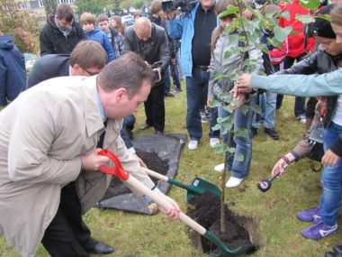 Wycięto drzewa noblistów pod Biblioteką Śląską Sadzenie drzew noblistów w 2011 roku 2