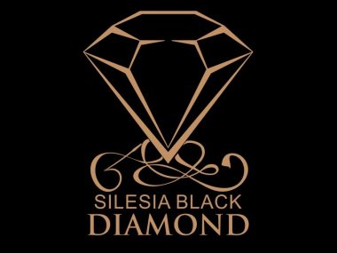 Silesia Black Diamond. Międzynarodowy turniej w Chorzowie Silesia Black Diamond