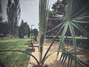 Sosnowiec. Park Bioróżnorodności jest ogrodem botanicznym Sosnowiec ma ogród botaniczny