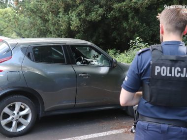 Uratował psa zamkniętego w samochodzie Uratował psa w Parku Śląskim