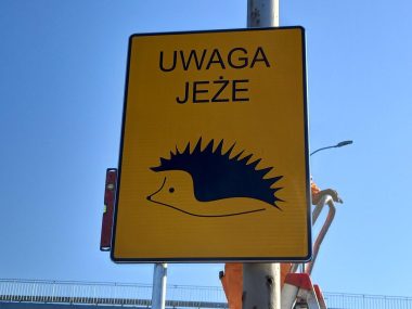 W Piekarach pojawią się znaki ostrzegające przed jeżami Uwaga jeże