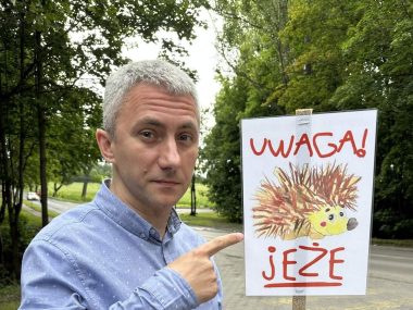 Przy drogach pojawiły się nowe tabliczki ostrzegawcze Uwaga jeże