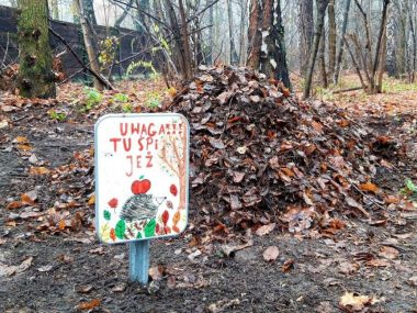 „Uwaga, tu śpi jeż”. Tabliczki zaprojektowali uczniowie Uwaga tu śpi jeż