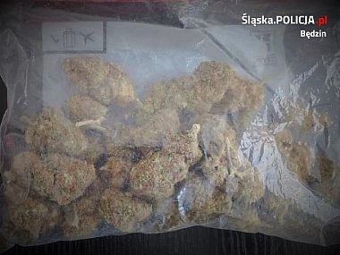 Policjanci przejęli znaczne ilości środków odurzających W ręce kryminalnych trafiła amfetamina oraz marihuana