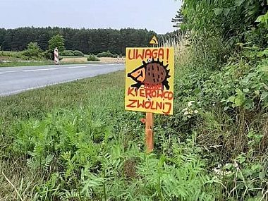 Kierowca PKM Katowice jest inicjatorem akcji "Uwaga, jeże". Znaki uwaga jeże