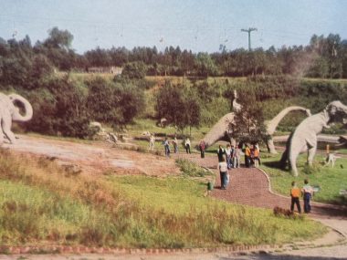 Zoo w Chorzowie i jego początki. Najstarsze (i inne) zdjęcia Zoo w Chorzowie w latach 70.