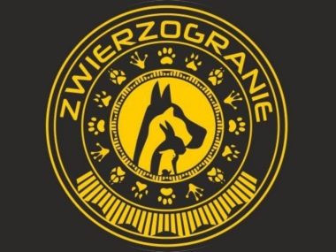 Zwierzogranie w Świętochłowicach. Piknik na rzecz zwierząt Zwierzogranie w Świętochłowicach Piknik na rzecz zwierząt