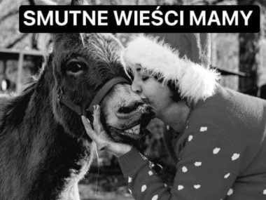 Akuku może nie przetrwać zimy. Wykończą ich rachunki... Akuku