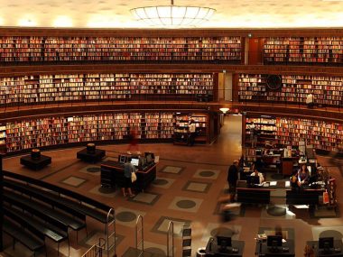 Czego można się nauczyć na studiach? 10 dziwnych kierunków Biblioteka (zdjęcie ilustracyjne)