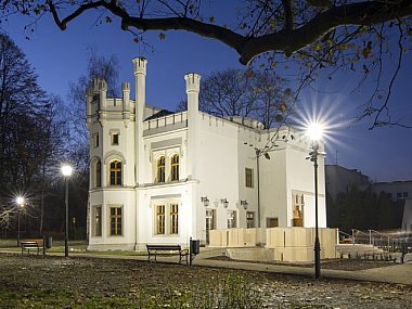 "O ślonskim we pałacu". Debata o języku śląskim Debata o jezyku slaskim palac miechowice 1