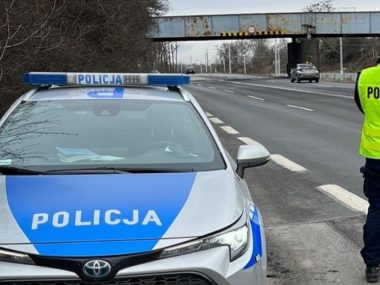 Nastolatek wjechał w jelenia. "Sądził", że ma prawo jazdy Drogówka