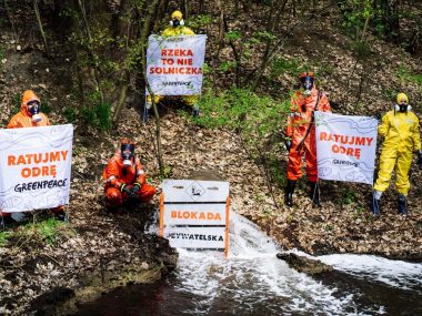 Ekolodzy zatamowali wylot kolektora wód z kopalni Halemba Greenpeace