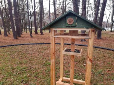 Miejskie karmniki dla ptaków w parkach Tychów Karmnik Park Tychy