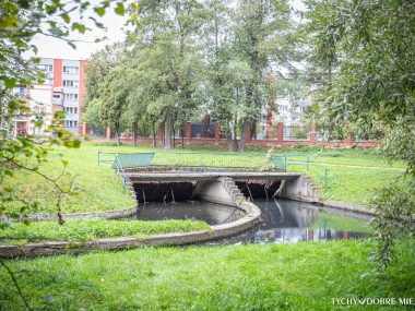 Jest już plan uporządkowania Parku Łabędzi na osiedlu F Park Łabędzi w Tychach w 2023 roku