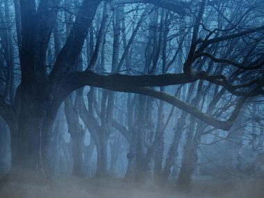 IV Rajd Nocny Szlakami Powstania Styczniowego IV Rajd Nocny Szlakami Powstania Styczniowego