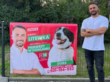 Wielka orkiestra... dla zwierząt. Poseł chce skopiować WOŚP Lukasz litewka
