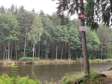Już ponad 30 "mandatów zaufania" wystawiła straż miejska Zakaz kąpieli jest niezrozumiały dla Ukraińców?