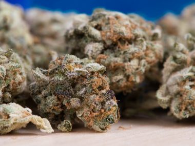 17-letni piekarzanin miał przy sobie 6 gramów marihuany Marihuana