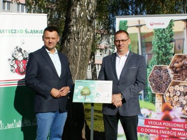 Nowe proekologiczne instalacje w Miasteczku Śląskim Miasteczko śląskie drzewa